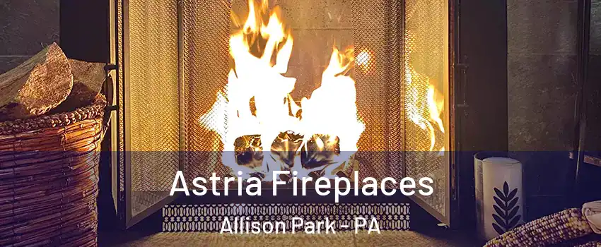  Astria Fireplaces Allison Park - PA