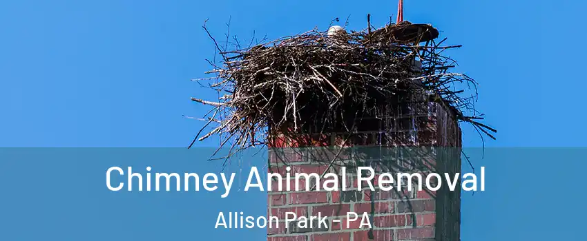  Chimney Animal Removal Allison Park - PA