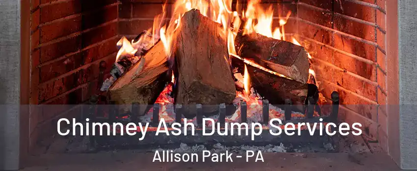  Chimney Ash Dump Services Allison Park - PA