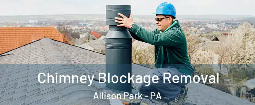  Chimney Blockage Removal Allison Park - PA