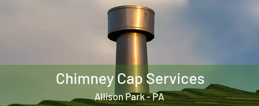  Chimney Cap Services Allison Park - PA