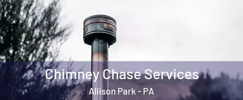  Chimney Chase Services Allison Park - PA