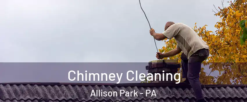  Chimney Cleaning Allison Park - PA