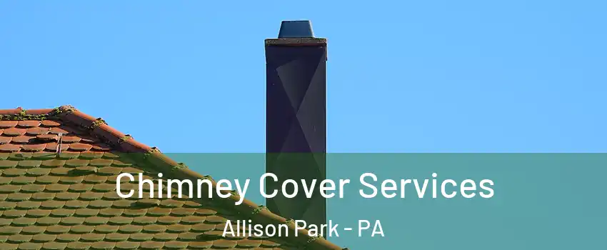  Chimney Cover Services Allison Park - PA