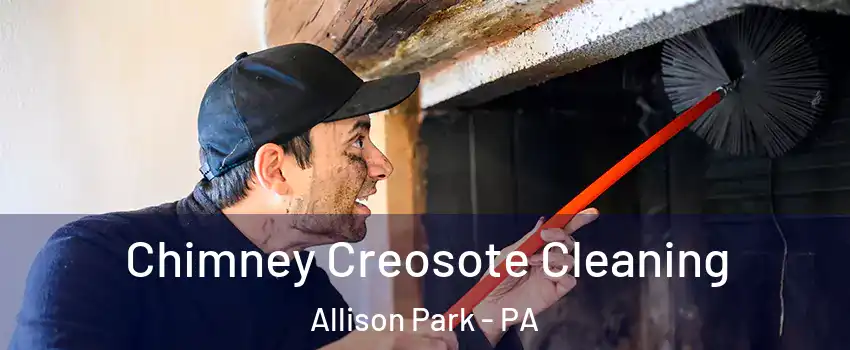  Chimney Creosote Cleaning Allison Park - PA