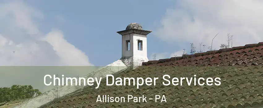  Chimney Damper Services Allison Park - PA