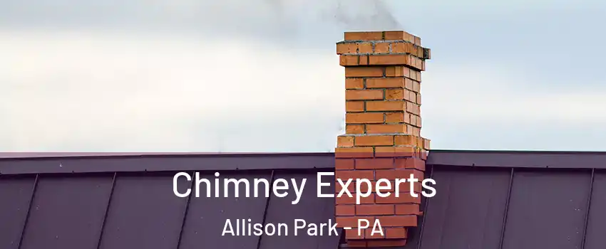 Chimney Experts Allison Park - PA