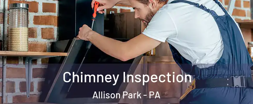  Chimney Inspection Allison Park - PA