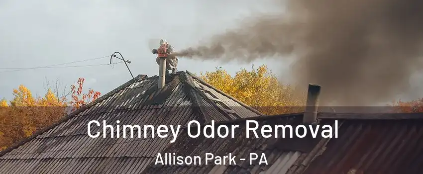  Chimney Odor Removal Allison Park - PA