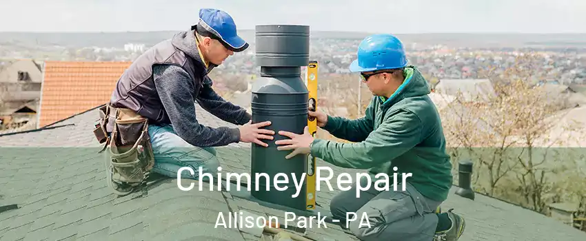  Chimney Repair Allison Park - PA