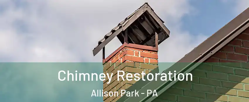  Chimney Restoration Allison Park - PA