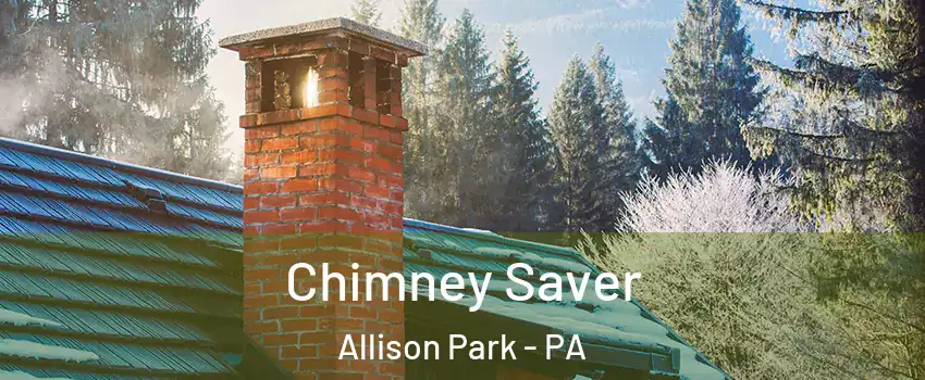  Chimney Saver Allison Park - PA