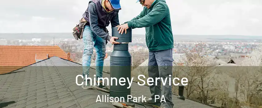  Chimney Service Allison Park - PA
