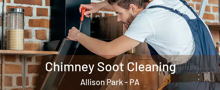  Chimney Soot Cleaning Allison Park - PA