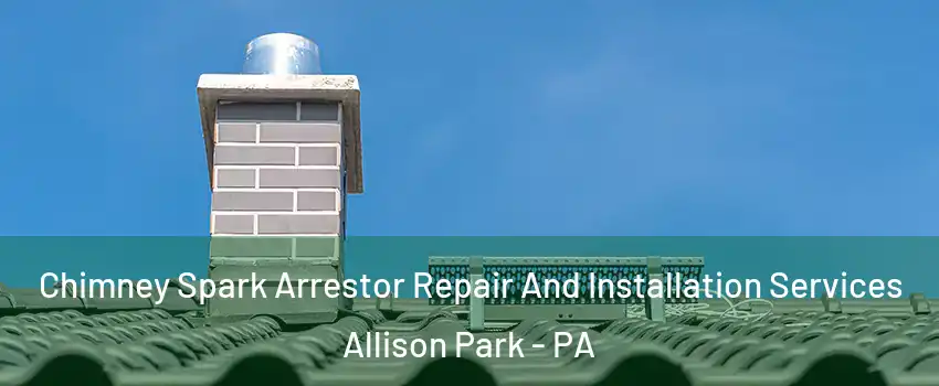  Chimney Spark Arrestor Repair And Installation Services Allison Park - PA