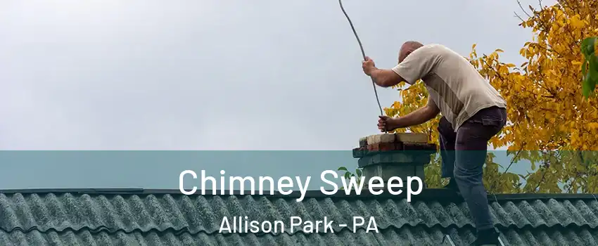  Chimney Sweep Allison Park - PA