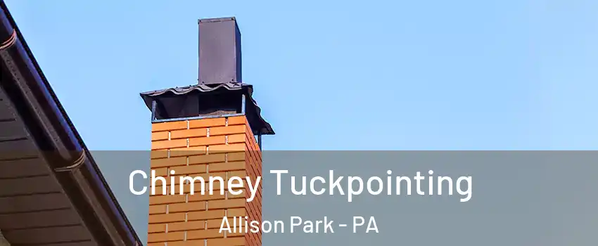  Chimney Tuckpointing Allison Park - PA