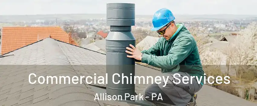  Commercial Chimney Services Allison Park - PA