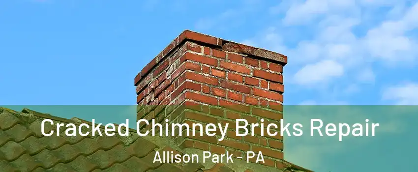  Cracked Chimney Bricks Repair Allison Park - PA