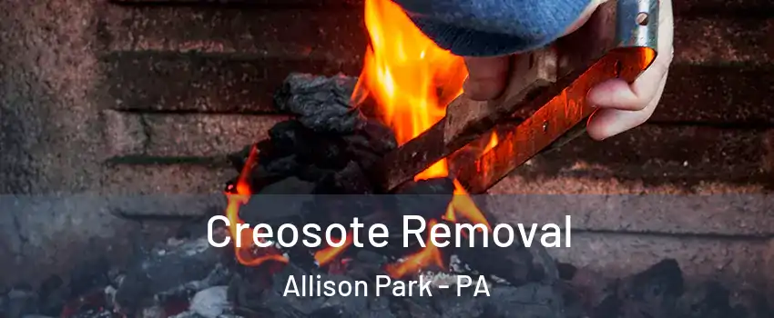 Creosote Removal Allison Park - PA