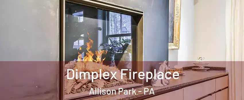  Dimplex Fireplace Allison Park - PA