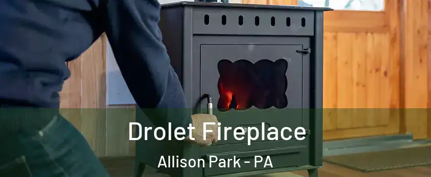  Drolet Fireplace Allison Park - PA