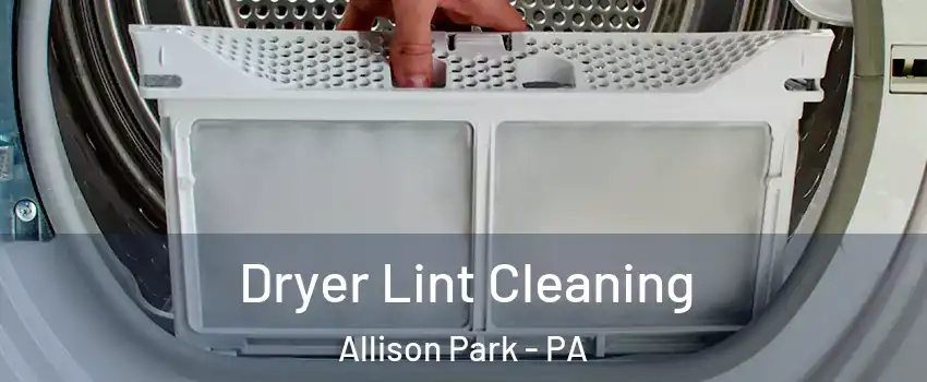  Dryer Lint Cleaning Allison Park - PA