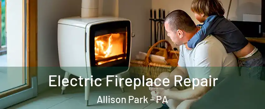  Electric Fireplace Repair Allison Park - PA