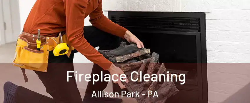  Fireplace Cleaning Allison Park - PA