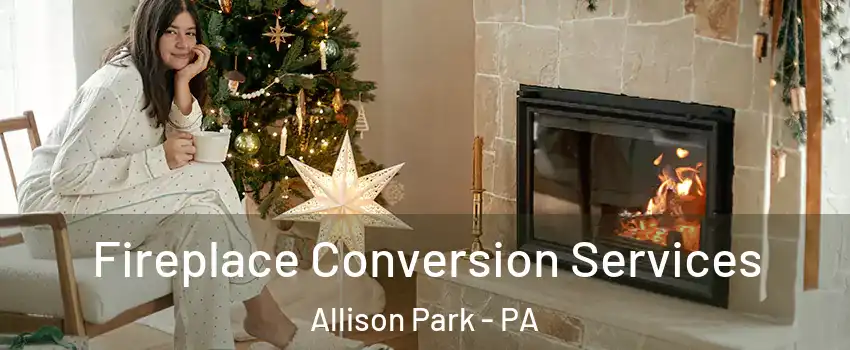  Fireplace Conversion Services Allison Park - PA