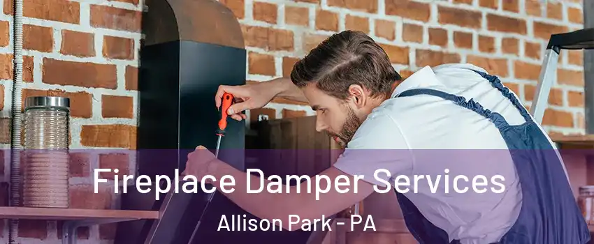  Fireplace Damper Services Allison Park - PA