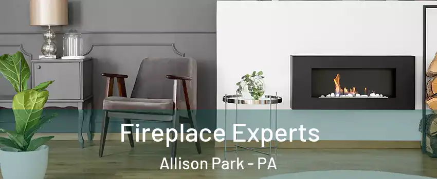  Fireplace Experts Allison Park - PA