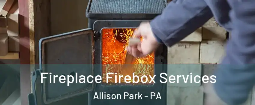  Fireplace Firebox Services Allison Park - PA