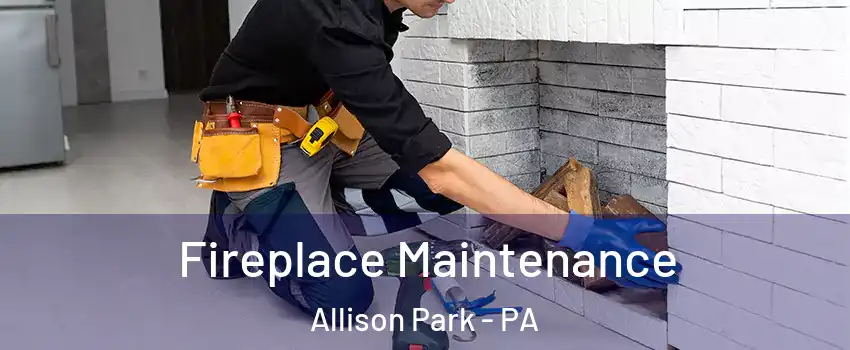  Fireplace Maintenance Allison Park - PA