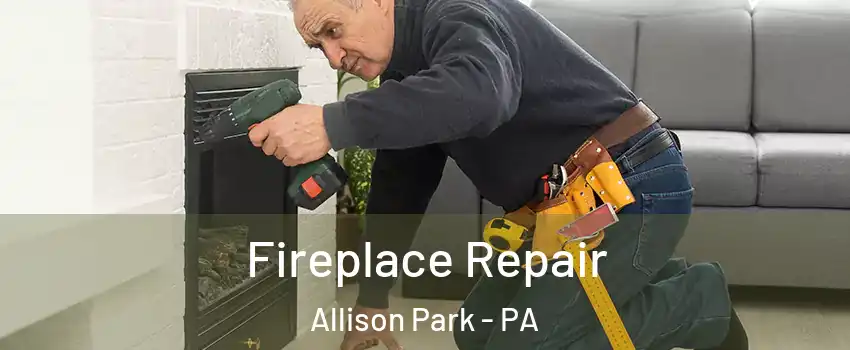  Fireplace Repair Allison Park - PA