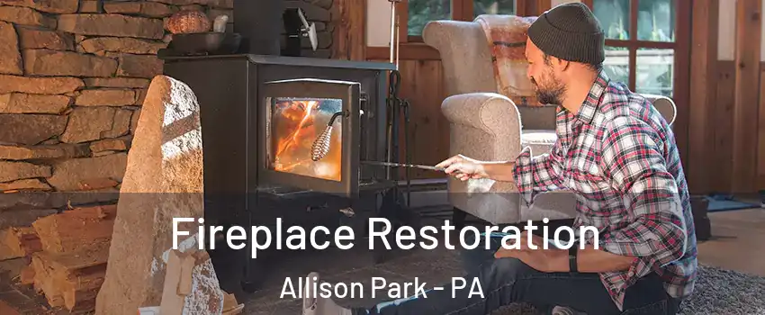  Fireplace Restoration Allison Park - PA