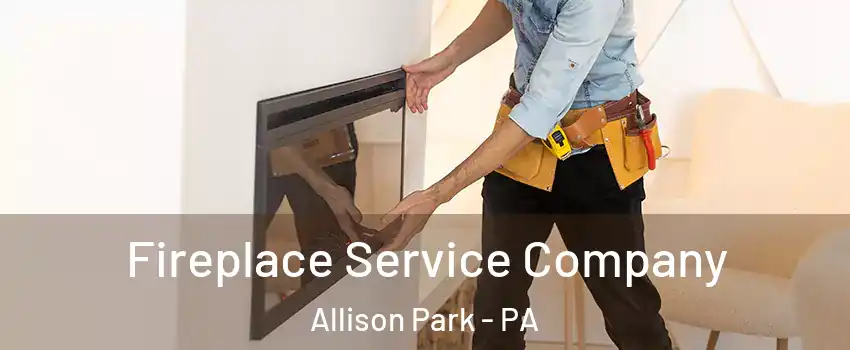 Fireplace Service Company Allison Park - PA