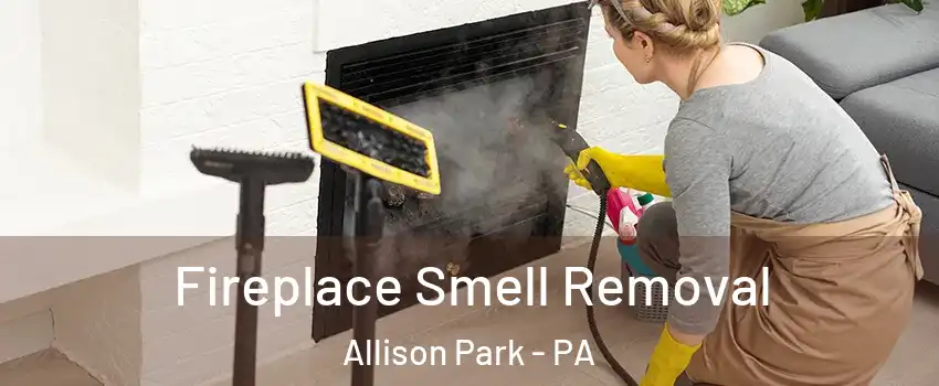  Fireplace Smell Removal Allison Park - PA