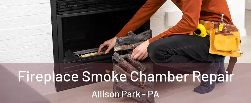  Fireplace Smoke Chamber Repair Allison Park - PA