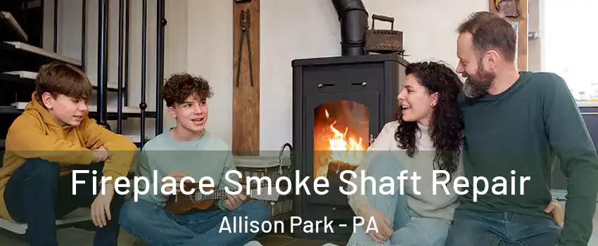  Fireplace Smoke Shaft Repair Allison Park - PA