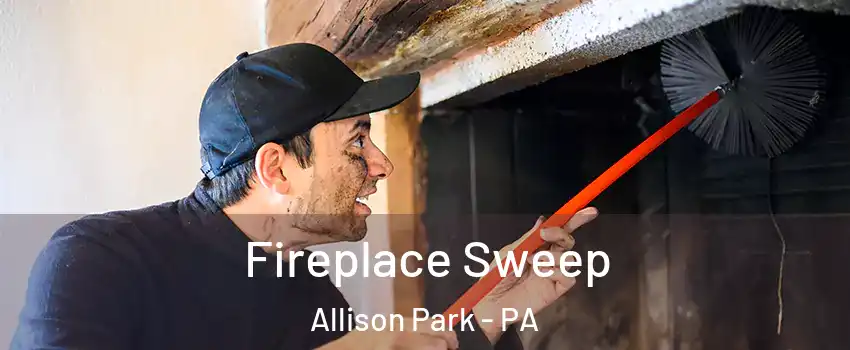  Fireplace Sweep Allison Park - PA