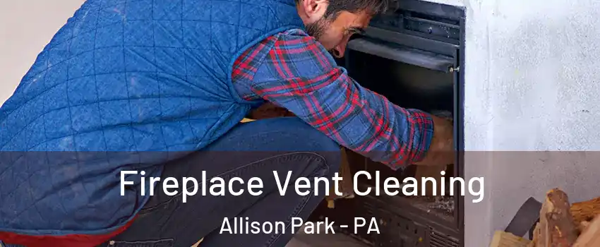  Fireplace Vent Cleaning Allison Park - PA