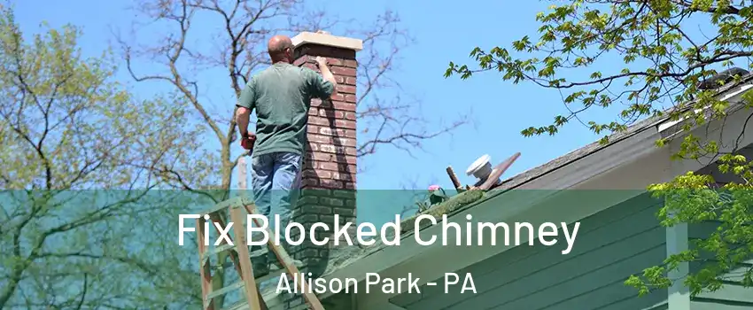  Fix Blocked Chimney Allison Park - PA