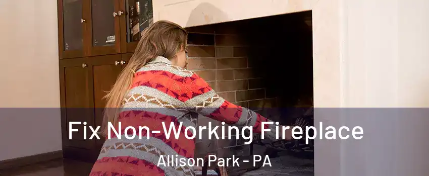  Fix Non-Working Fireplace Allison Park - PA