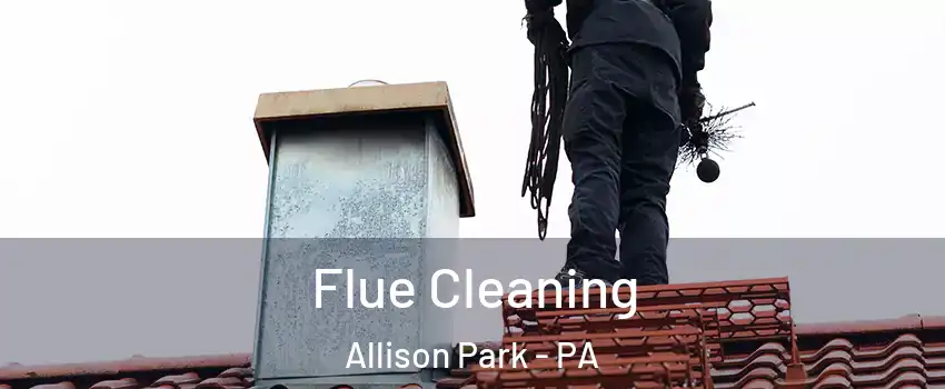  Flue Cleaning Allison Park - PA