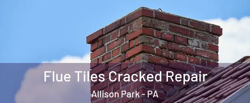  Flue Tiles Cracked Repair Allison Park - PA