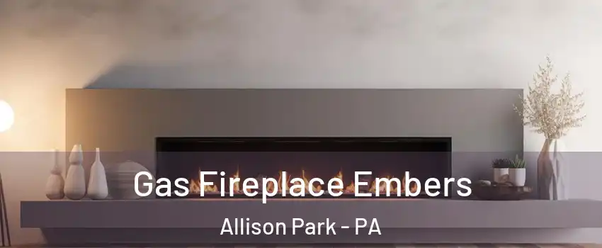  Gas Fireplace Embers Allison Park - PA