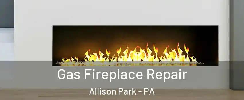  Gas Fireplace Repair Allison Park - PA