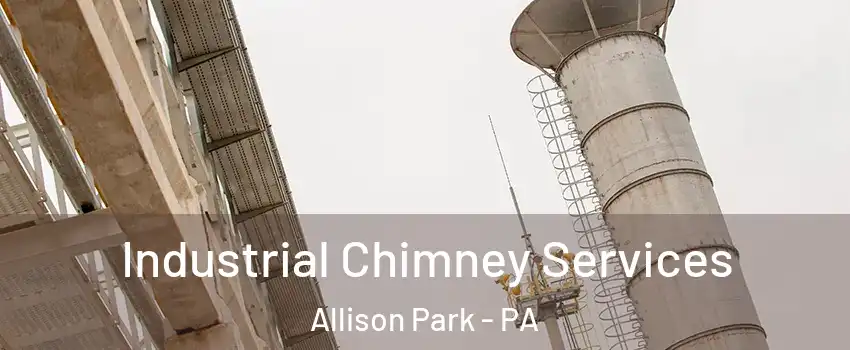  Industrial Chimney Services Allison Park - PA