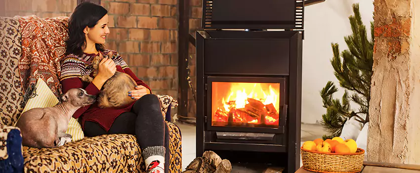 Wood Stove Chimney Cleaning Services in Allison Park, PA